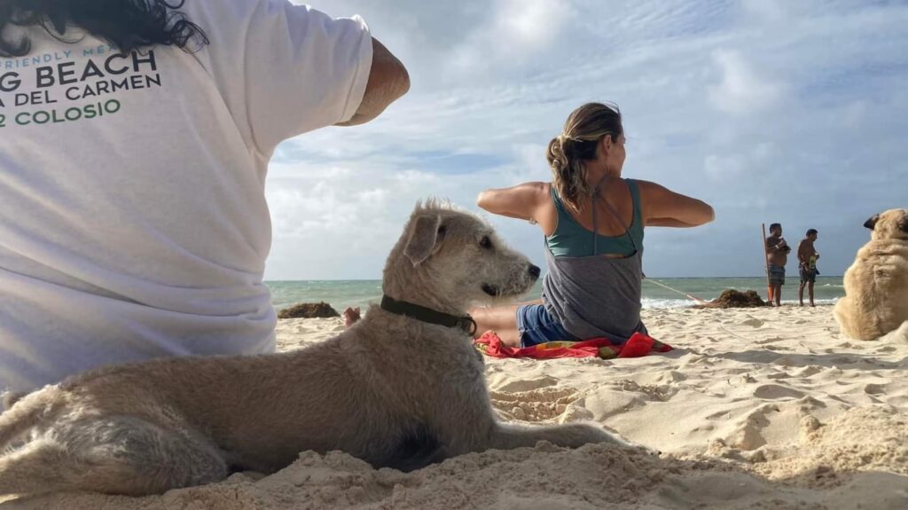 Yoga en la playa 72 de Playa del Carmen